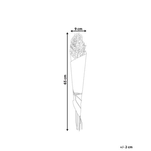 Bouquet De Fleurs Séchées 65 Cm Naturel Brunete