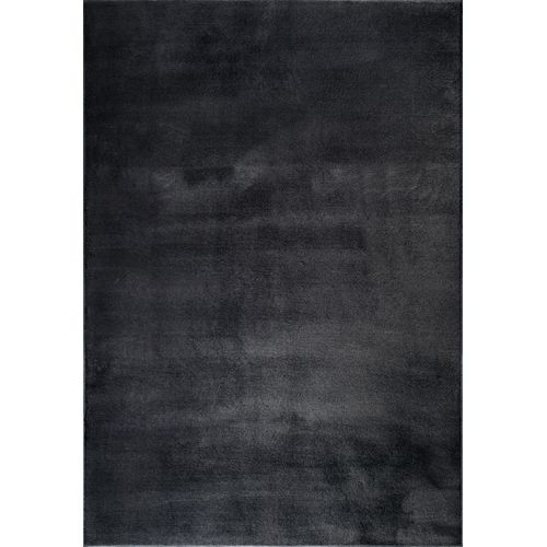 Tapis Cosy Moderne Fourrure Douillet Lavable, Noir, 160x220 Cm