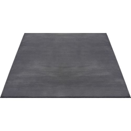 Tapis Cosy Moderne Fourrure Douillet Lavable, Anthracite, 200x280 Cm