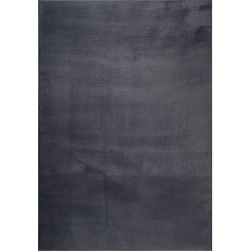Tapis Cosy Moderne Fourrure Douillet Lavable, Anthracite, 200x280 Cm