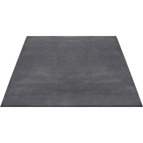 Tapis Cosy Moderne Fourrure Douillet Lavable, Anthracite, 240x340 Cm