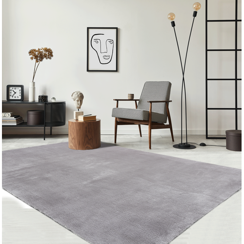Tapis Moelleux Poils Courts, Antidérapant, Lavable, Soft, Gris, 160 X 220 Cm