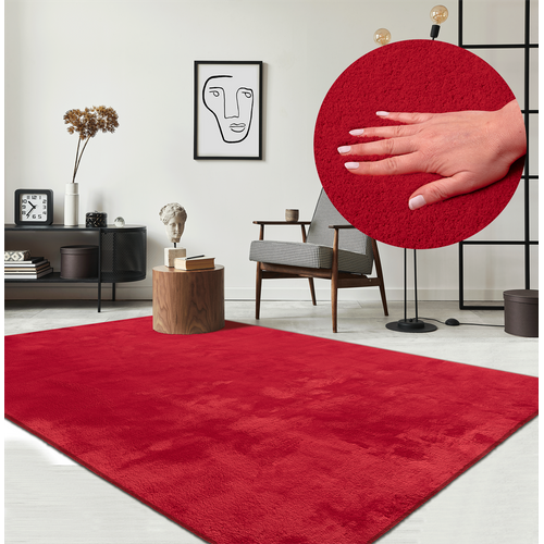 Tapis Moelleux Poils Courts, Antidérapant, Lavable, Soft, Rouge, 240 X 340 Cm
