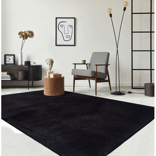 Tapis Moelleux Poils Courts, Antidérapant, Lavable, Soft, Noir, 160 X 220 Cm