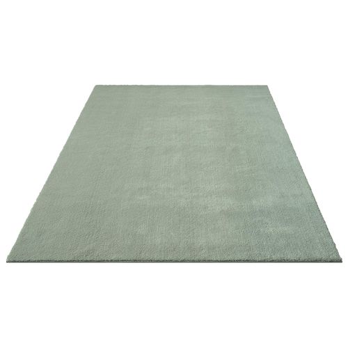 Tapis Moelleux Poils Courts, Antidérapant, Lavable, Soft, Vert, 160 X 220 Cm