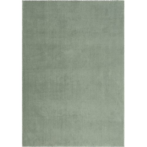 Tapis Moelleux Poils Courts, Antidérapant, Lavable, Soft, Vert, 200 X 280 Cm