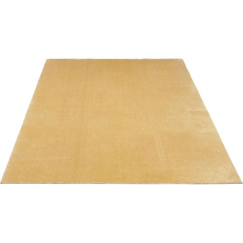 Tapis Moelleux Poils Courts, Antidérapant, Lavable, Soft, Or, 200 X 280 Cm