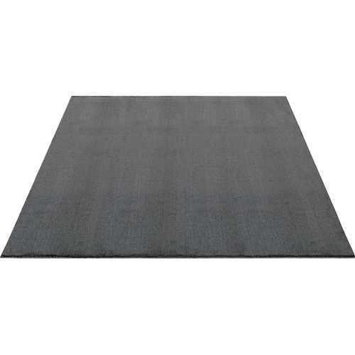 Tapis Moelleux Poils Courts, Antidérapant, Lavable, Soft, Anthracite, 300 X 400 Cm
