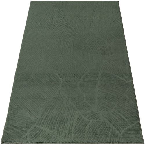 Tapis Rio Salon Antidérapant Feuilles, Forêt, 160x220 Cm