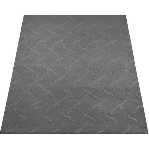 Tapis Rio Salon Antidérapant 3d, Anthracite, 200x280 Cm