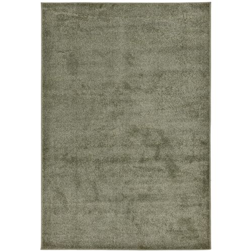 Tapis Simple Au Design Uni Paola 67x120 Cm - Vert