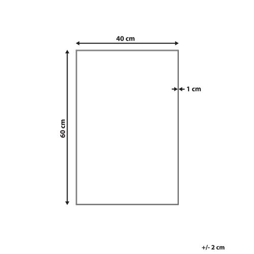 Miroir 60 Cm Argenté Angers