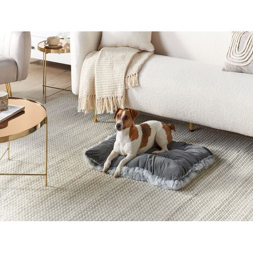 Lit Pour Chien En Velours Gris 60 X 45 Cm Ergani