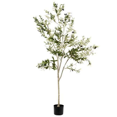 Plante Artificielle Olive Tree 178 Cm Vert