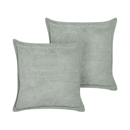 Lot De 2 Coussins Vert Clair Zinnia 43 X 43 Cm