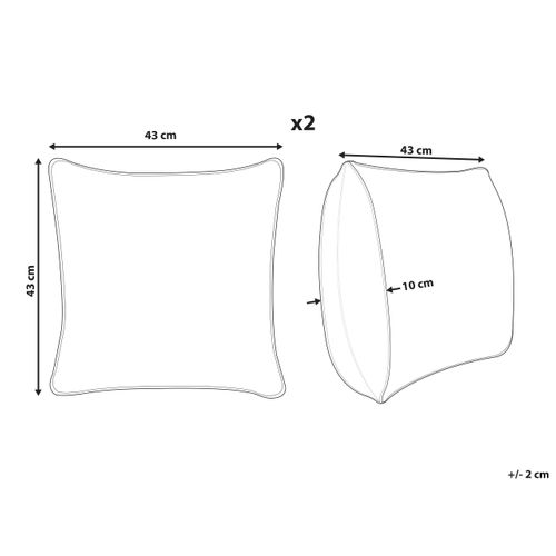 Lot De 2 Coussins Vert Clair Zinnia 43 X 43 Cm