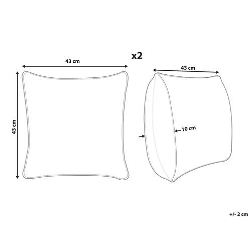 Lot De 2 Coussins Vert Clair Zinnia 43 X 43 Cm