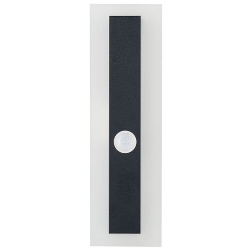 Applique LED D'extérieur Avec Détecteur De Mouvement 30 Cm Noir Savane