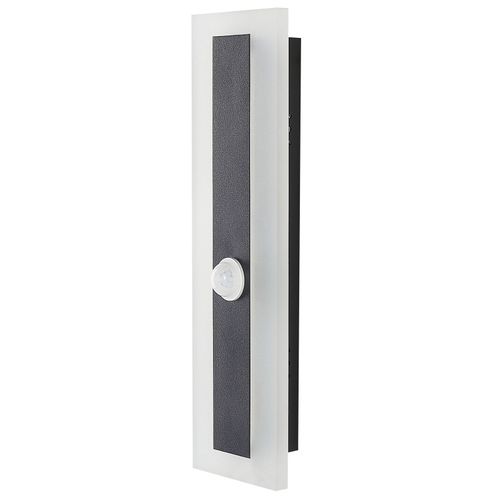 Applique LED D'extérieur Avec Détecteur De Mouvement 30 Cm Noir Savane