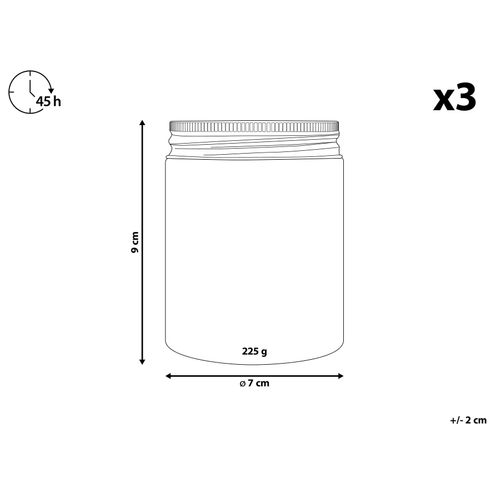 3 Bougies à La Cire De Soja Parfumées Pêche Groseille/ Physalis/ Pomme Golden Fruity Bloom