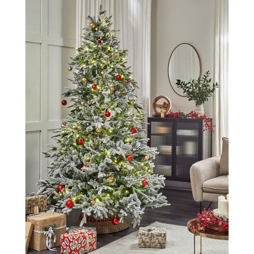 Lumières De Noël Avec L'application Multicolore Igaliku