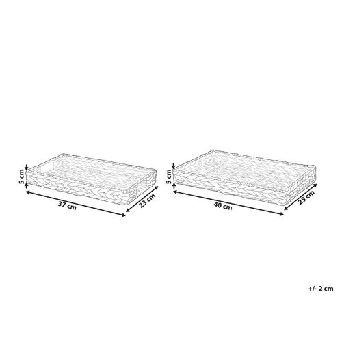 Lot De 2 Plateaux Décoratifs En Jacinthe D'eau Ton Clair Kontum