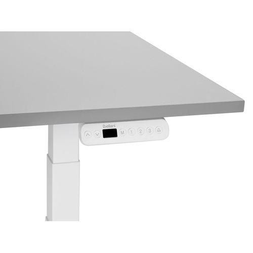 Table à Hauteur Ajustable Électrique 120 X 72 Cm Tailles Différentes