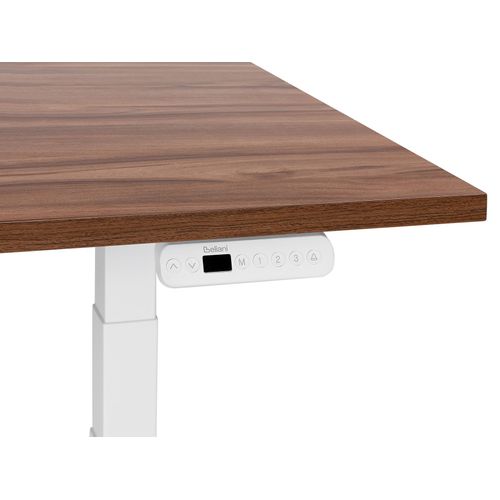 Table à Hauteur Ajustable Électrique 160 X 72 Cm Tailles Différentes
