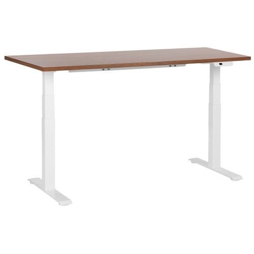 Table à Hauteur Ajustable Électrique 160 X 72 Cm Tailles Différentes