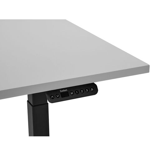Table à Hauteur Ajustable Électrique 120 X 72 Cm Tailles Différentes