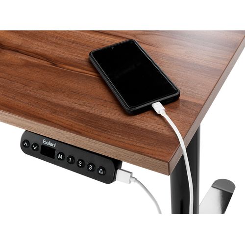 Table à Hauteur Ajustable Électrique 160 X 72 Cm Tailles Différentes