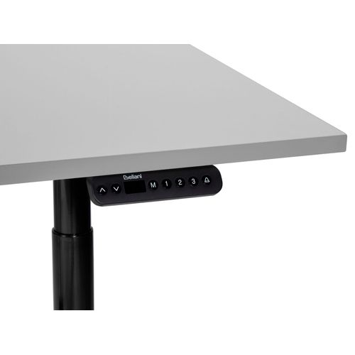 Table à Hauteur Ajustable Électrique 180 X 80 Cm Tailles Différentes