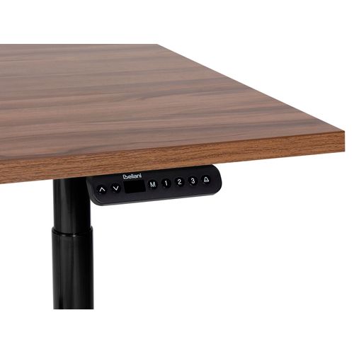 Table à Hauteur Ajustable Électrique 160 X 72 Cm Tailles Différentes