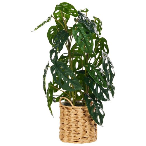 Plante Artificielle Monstera Adansonii 53 Cm Vert