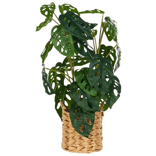 Plante Artificielle Monstera Adansonii 53 Cm Vert