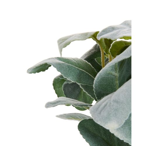 Plante Artificielle Peperomia Argyreia 30 Cm Vert