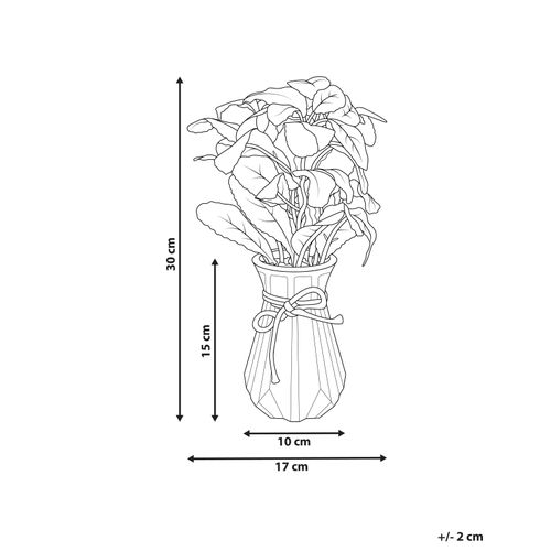 Plante Artificielle Peperomia Argyreia 30 Cm Vert