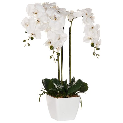 Plante Artificielle Orchid 59 Cm Blanc