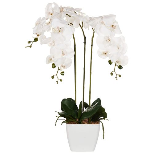 Plante Artificielle Orchid 59 Cm Blanc