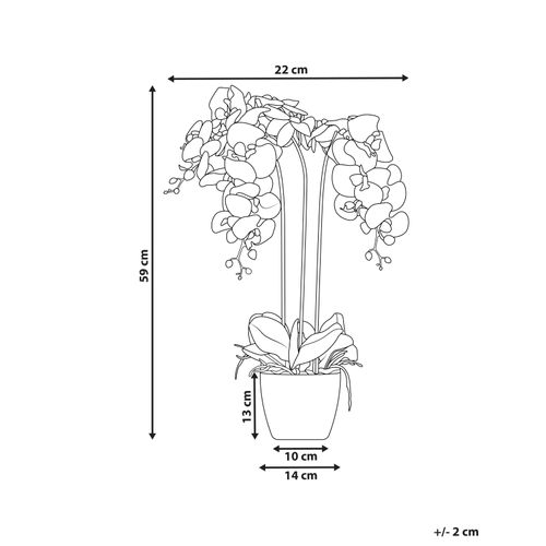 Plante Artificielle Orchid 59 Cm Blanc