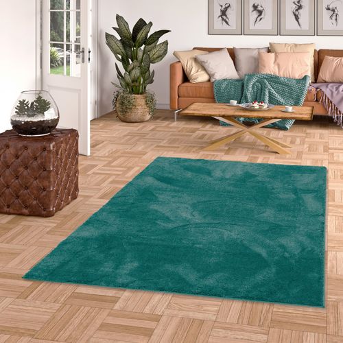 Tapis à Poils Longs Silky 120x170cm Vert Clair