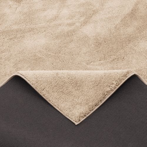 Tapis à Poils Longs Silky 120x170cm Beige