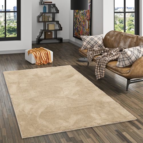 Tapis à Poils Longs Silky 120x170cm Beige