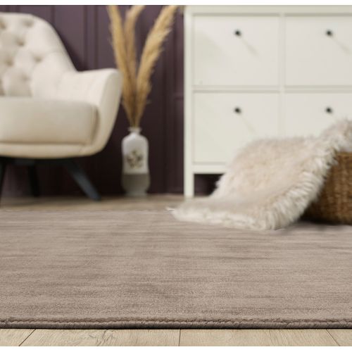 Tapis Janelle Élégant Salon Viscose, Beige Clair, 200x290 Cm