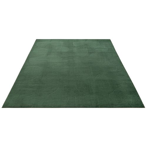 Tapis Rio Salon Antidérapant Arc, Forêt, 120x160 Cm