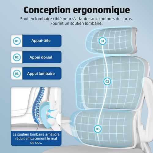 Fauteuil De Bureau, Accoudoirs Pliable, Inclinable, Soutien Lombaire Ergonomique,gris