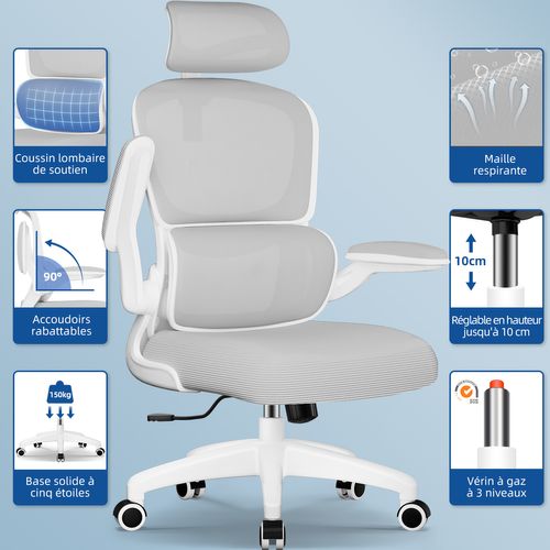 Fauteuil De Bureau, Accoudoirs Pliable, Inclinable, Soutien Lombaire Ergonomique,gris