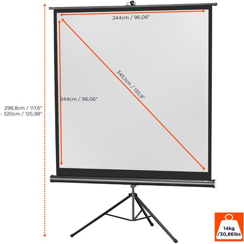 Ecran De Projection Sur Pied Celexon Economy 244 X 244 Cm