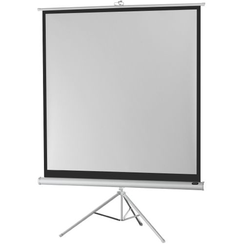 Ecran De Projection Sur Pied Celexon Economy 244 X 244 Cm- White Edition