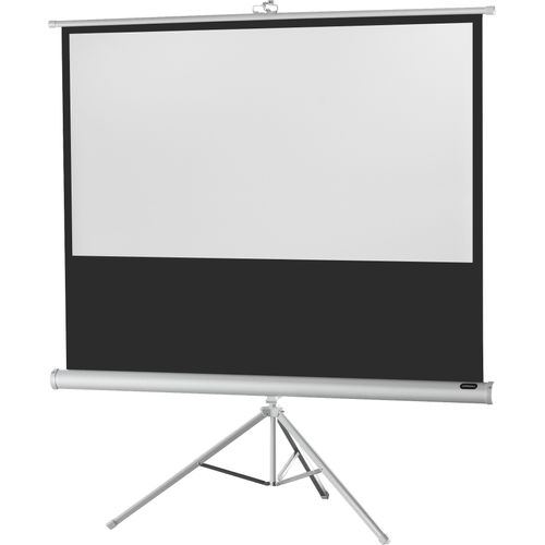 Ecran De Projection Sur Pied Celexon Economy 219 X 123 Cm - White Edition